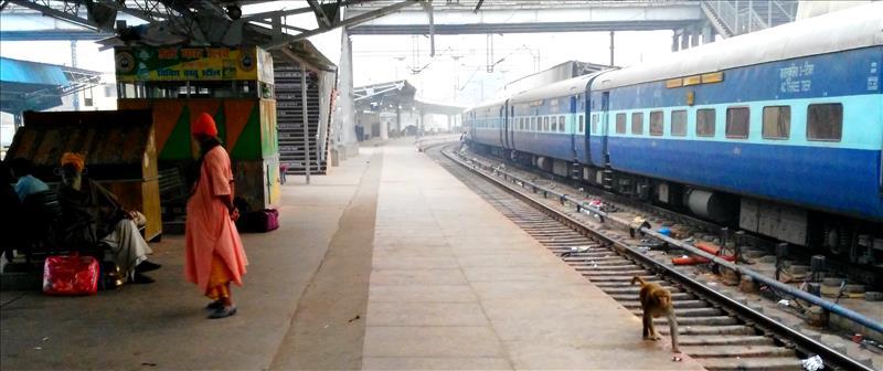 Monkeys on the platform at Agra train station.