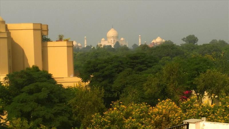 View of the Taj Majal from the homestay.