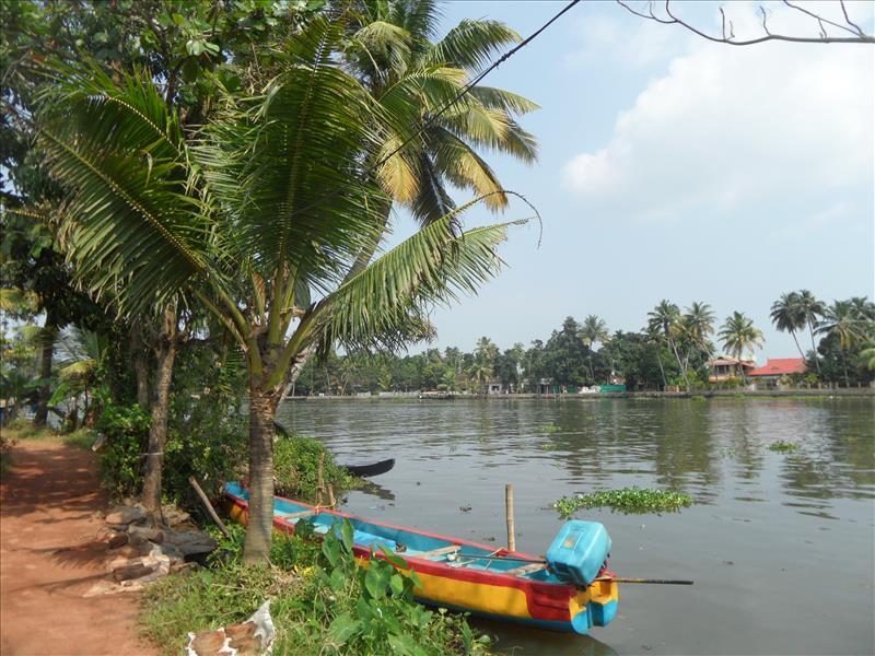 alleppey-canoe-moored-kainakari-island-alleppey-kerala-backwaters-india