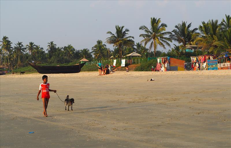 benaulim-beach-scene-goa-india