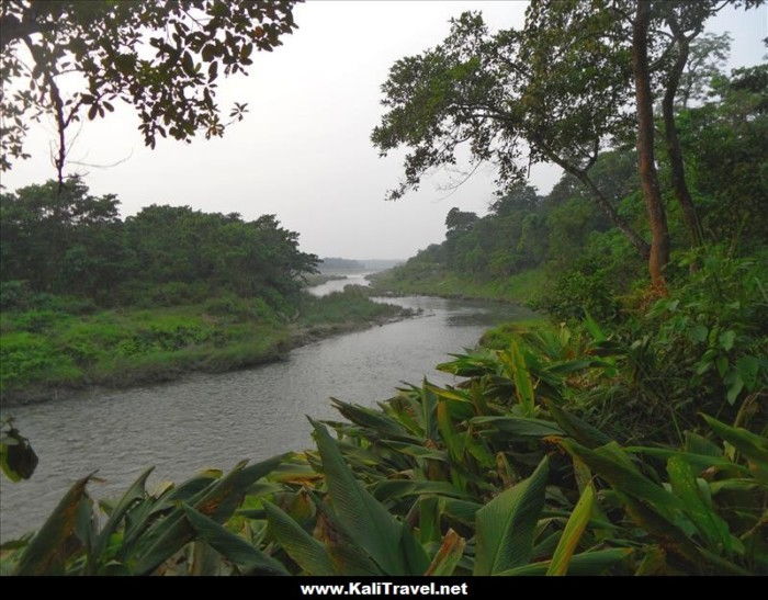 River through the jungle at Chitwan National Park, Nepal.