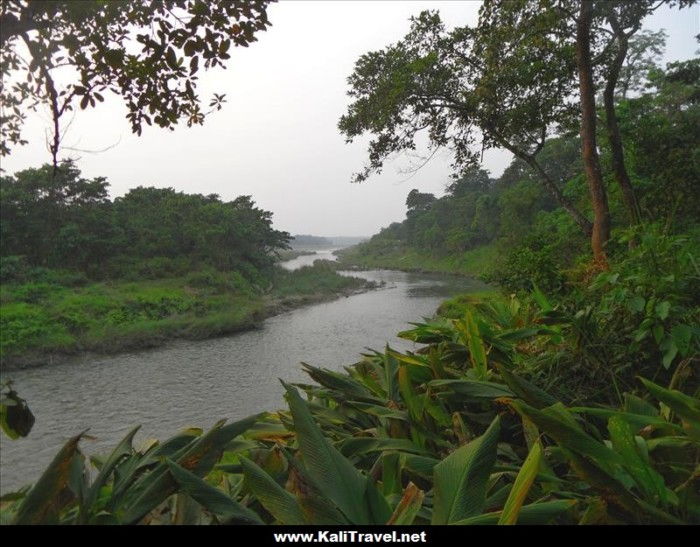 canoa-paseo-chitwan-nacional-parque