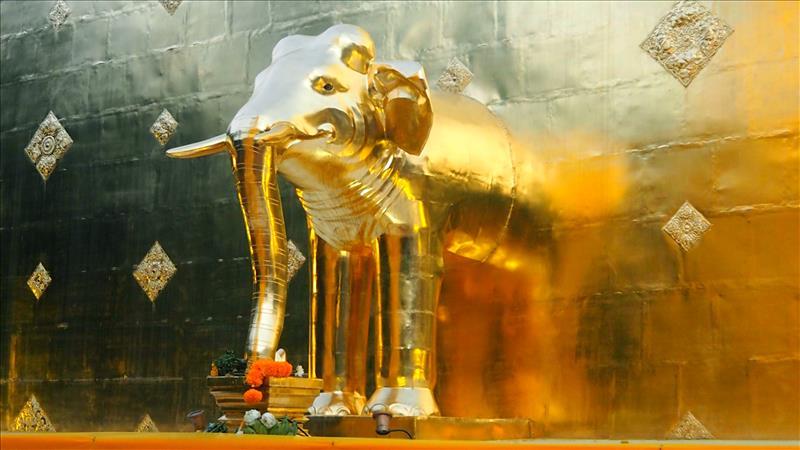 chiang-mai-gold-chedi-elephants-wat-phra-singh-buddhist-temple-thailand