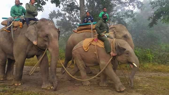 nepal-chitwan-national-park-elephant-patrol