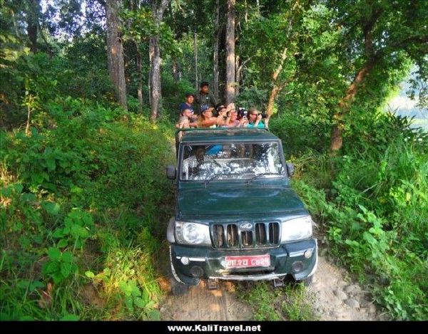 Jeep Safari at Chitwan National Park, Nepal.