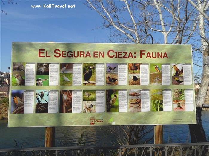 Signboard by the river showing photos of Ricote Valley wildlife.
