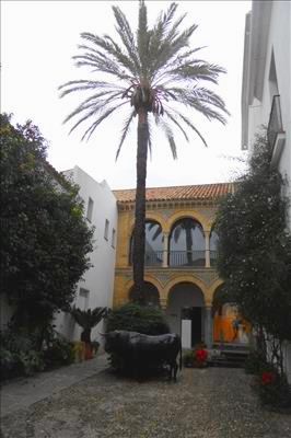 Palm tree in cobbled lane and historic building with archways.