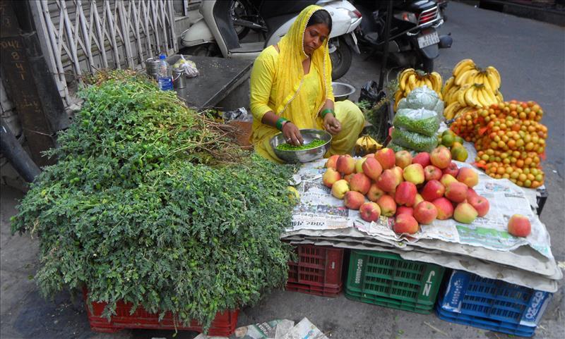 fruit-seller-in-the-old-town-udaipur-india