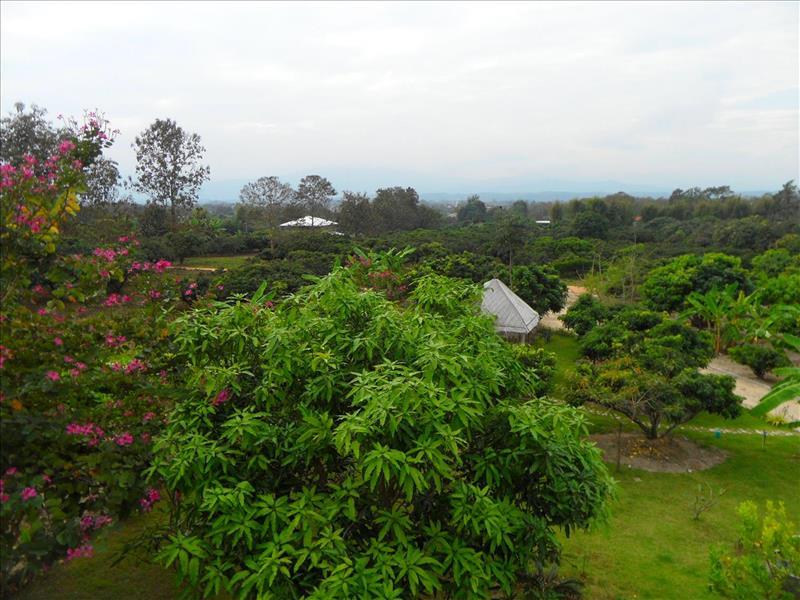 giardino-di-san sai-garden-mae-faek-rural-chiang-mai-thailand