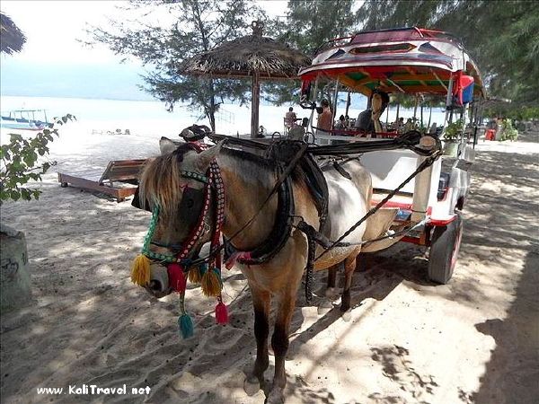 horse_drawn_carriage_gili_meno_lombok_indonesia