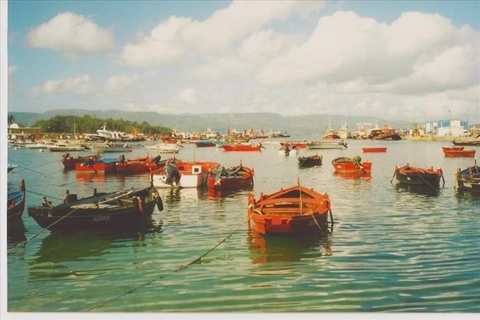 Illa de Arousa fishing boats in harbour.