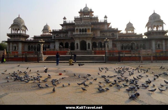 jaipur-albert-hall-museum-india