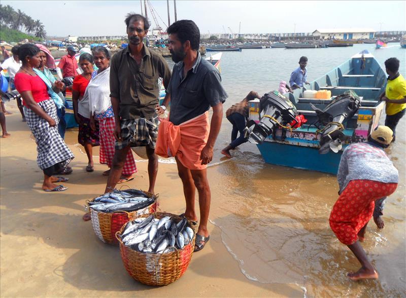 kovalam-bringing-fish-ashore-vizhinjam-kerala-india