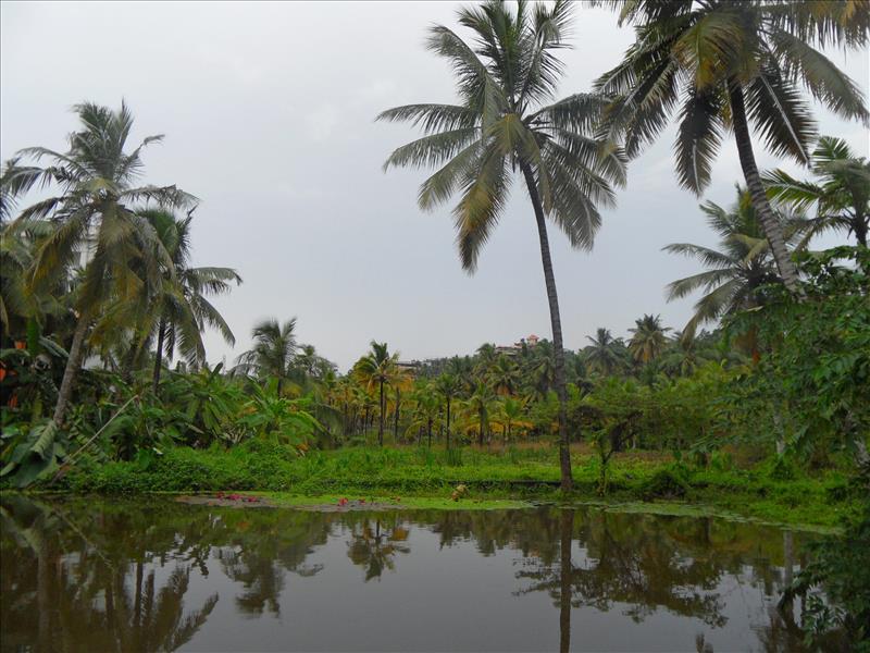kovalam-lagoon-trivandrum-kerala-india