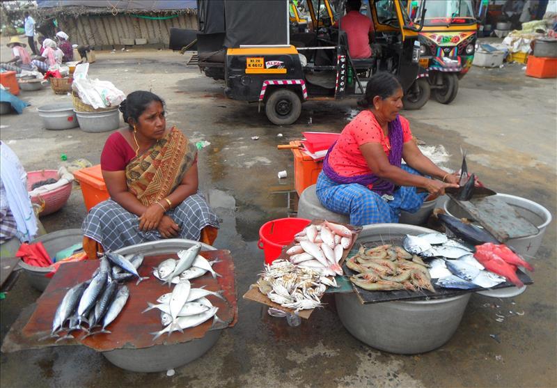 kovalam-selling-fish-vizhinjam-village-kerala-india