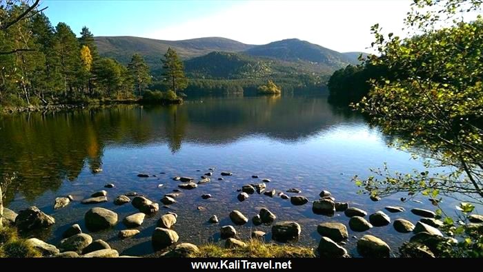 Loch An Eilein framed by trees in the Cairngorms.