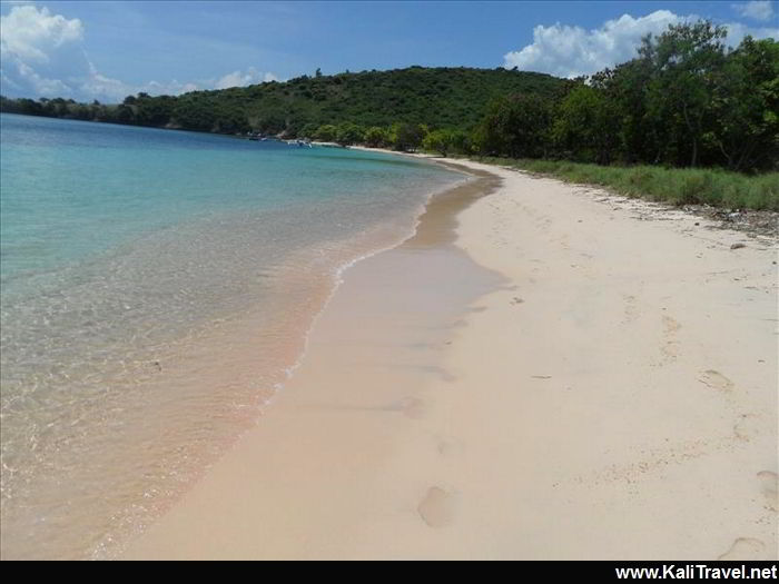 Turquoise sea and tree lined sands of Lombok Pink Beach.