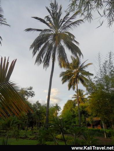 lombok_rinjani_eco_lodge_resort_gardens