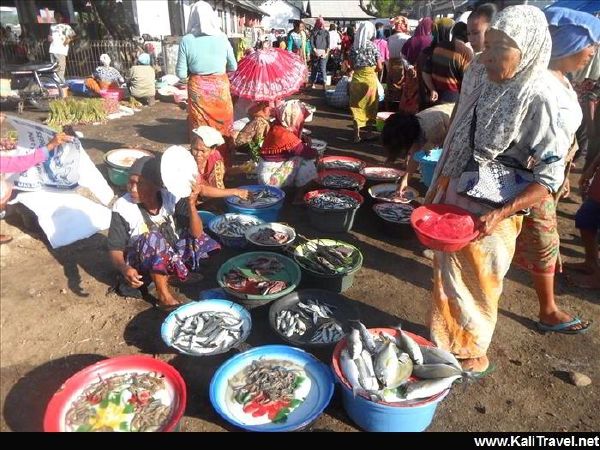 Ladies with bowls of fresh fist at Tanjung Luar Fish Market.
