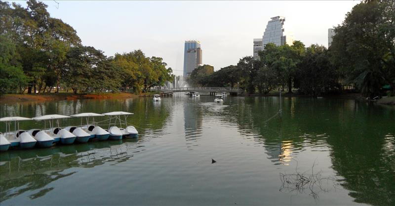 lumphini-park-bangkok-thailand (2)