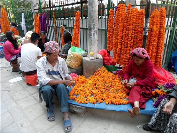 making-marigold-garlands-kathmandu-diwali-nepal