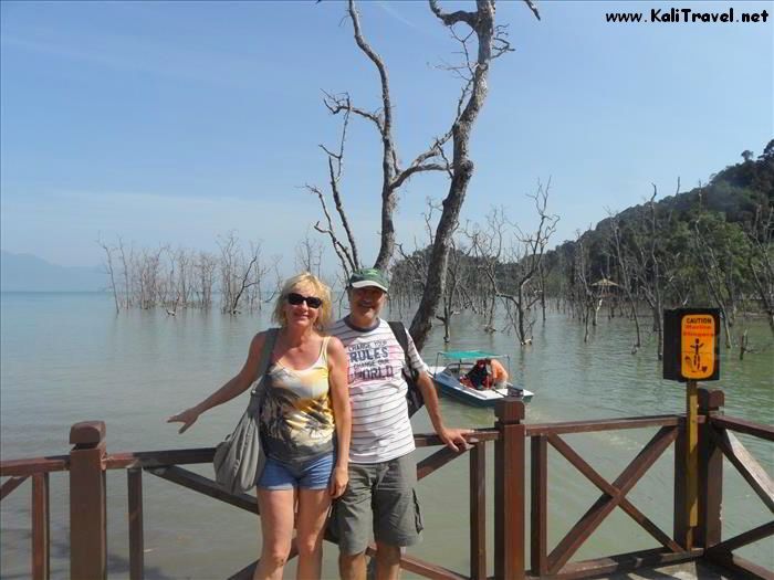 mangroves_bako_national_park_borneo_sarawak