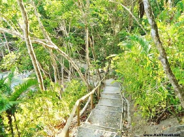 Sloth Trail, Manuel Antonio National Park, Costa Rica