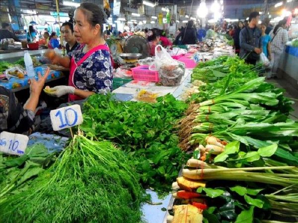 market-mae-faek-rural-chiang-mai-thailand