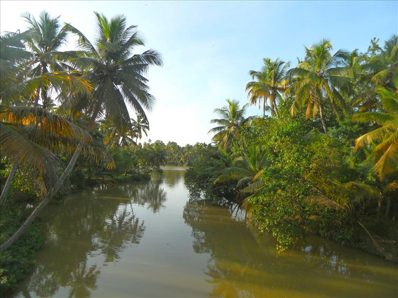 munroe-island-canal-kerala-backwaters-india