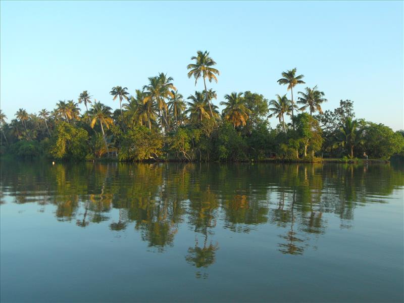 munroe-island-coconut-palms-kerala-india