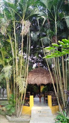 nepal-chitwan-rainbow-lodge