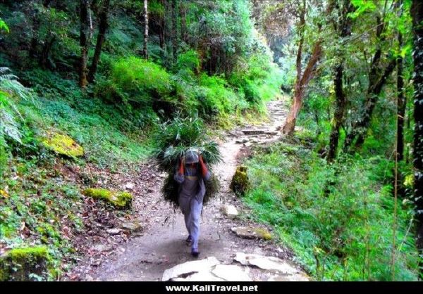 nepal-poon-hill-trek-ulleri-ghorepani