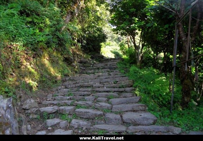 nepal-ulleri-hill-steps-poon-hill-trek