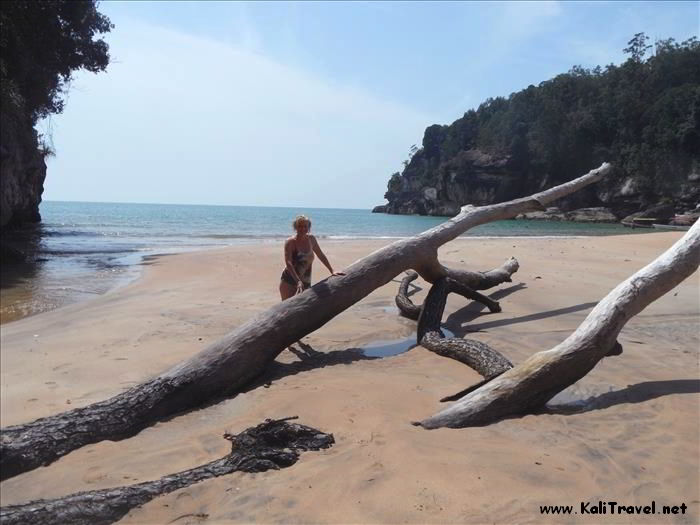 pandan_kecil_bako_sarawak_borneo