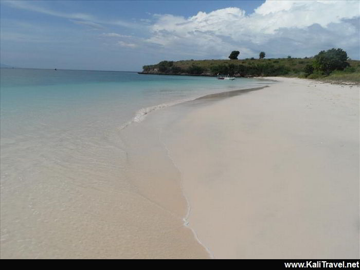 Turquoise sea washing onto a sanmdy pink beach with trees.