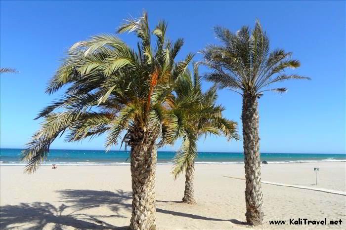 playa_muchavista_campello_alicante_costa_blanca_spain