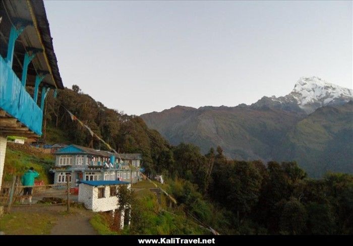 poon-hill-trek-tadapani-nepal