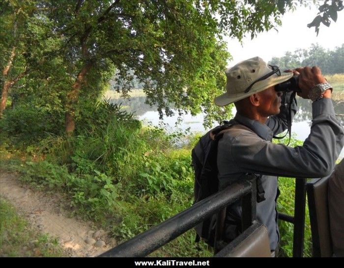 A ranger tiger spotting at Chitwan National Park, Nepal.