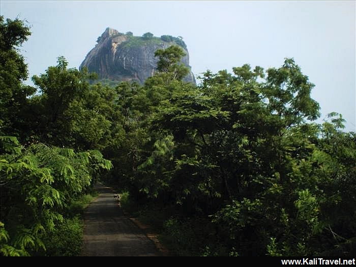 Jungle road to Mount Sigiriya in Sri Lanka.