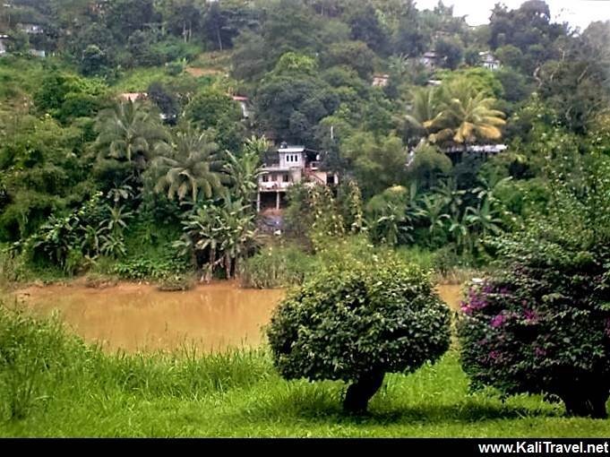 Kandy riverside view from Peradeniya Botanical Gardens.