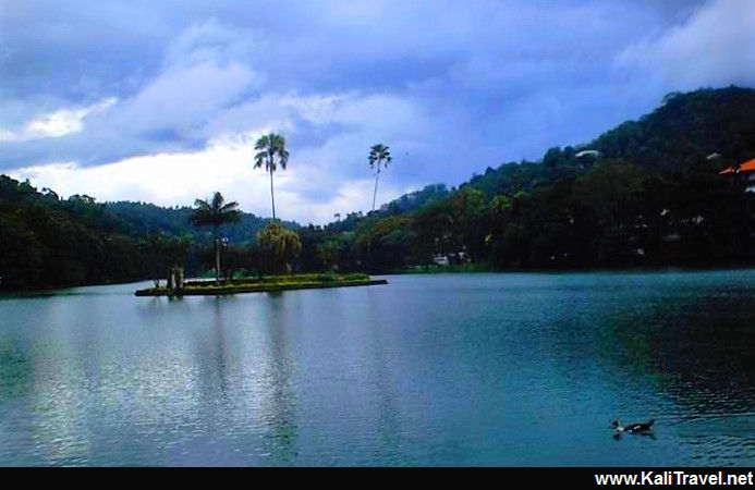 Kandy lake with a lttle island and palms in the centre.