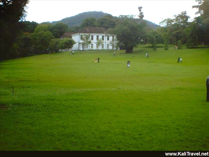The lawns of Peradeniya Botanical Gardens in Kandy.