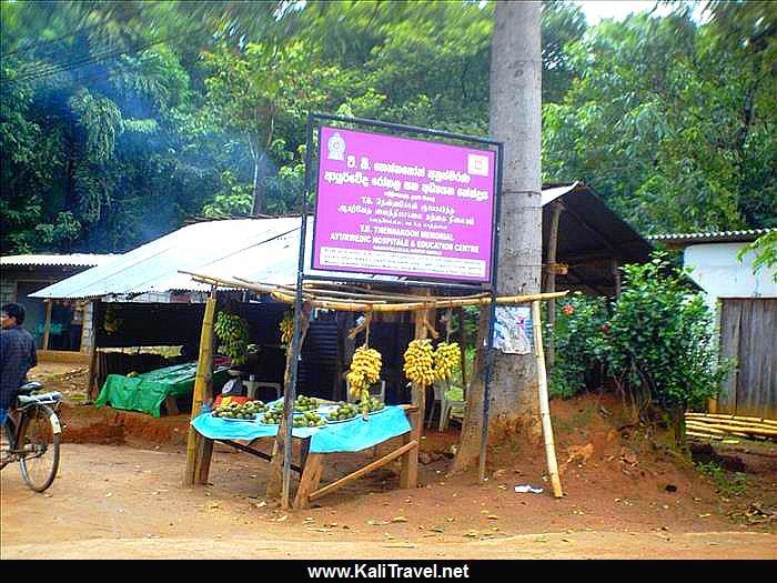 Sri Lanka roadside fruit stall.