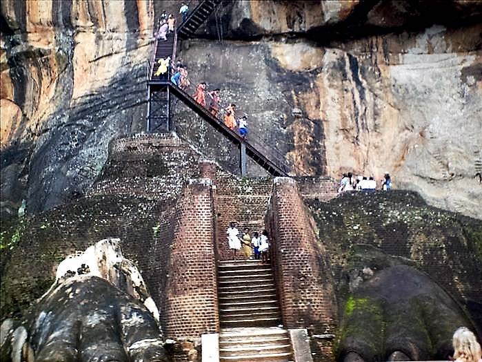 The Lion Rock paws guarding the steps up to Sigiriya citadel.