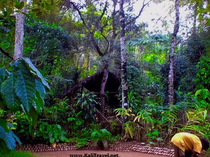 Sri Lanka spice garden in Matale.