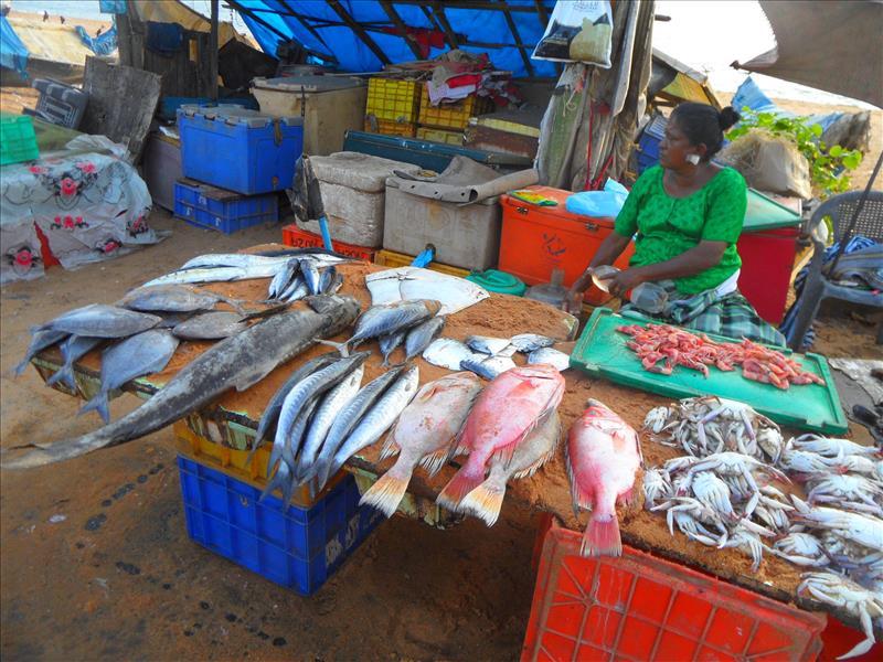 trivandrum-fish-stall-valiyathura-beach-kerala-india