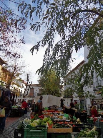 albaicin_market_granada_spain