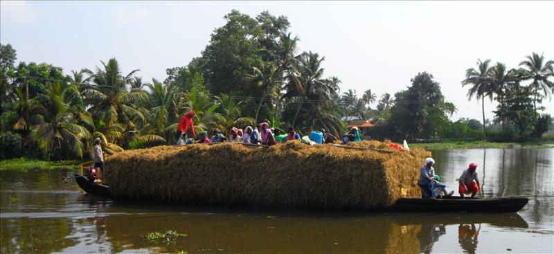 Alleppey canal barge by Kainakari Island in Kerala backwaters.