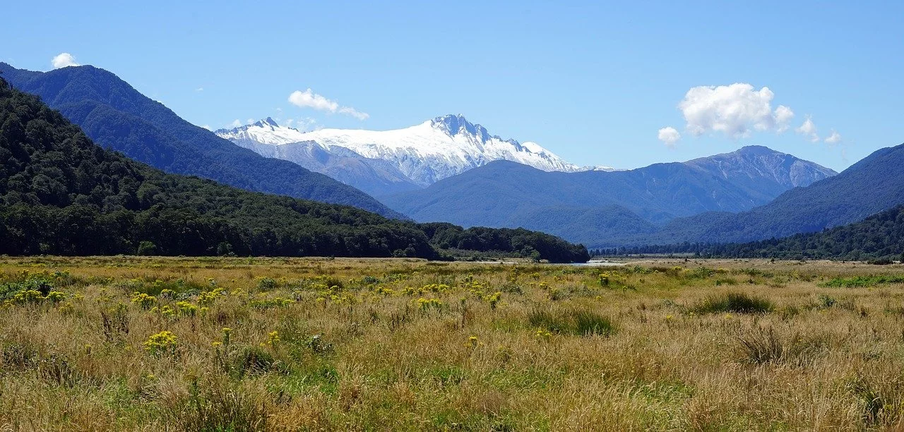 Hiking trail across heathland in a valley with snow-capped mountains in West Coast New Zealand.
