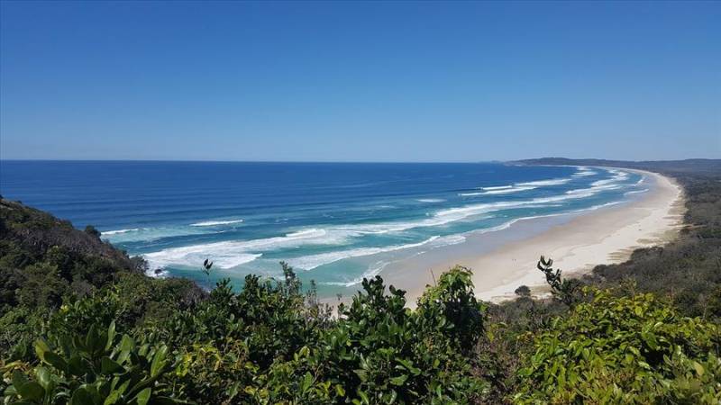 Tree-backed sands and ocean at Byron Bay on Austrailia's East Coast.
